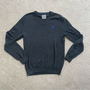 express grey v neck sweater